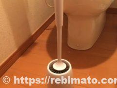 楽天で売ってるトレイブラシ