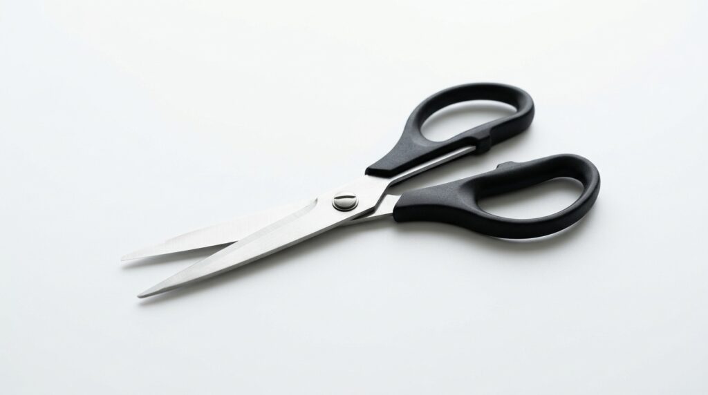 黒いハサミ